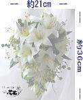 ob213 �u�[�P�̃T�C�Y