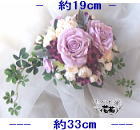 wb128 u[P̃TCY