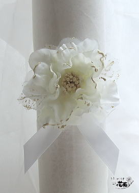 ����a�P�Q�E�����C���[�W