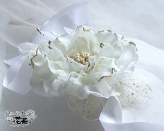 ����a�P�Q�E�A�[�����b�g�̃T�C�h